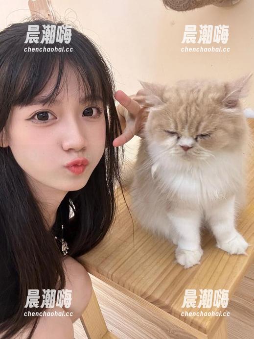 399.su 奇奇怪怪的“www.399.su”传送门,无法自拔的刷屏体验