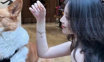 感觉51吃瓜网官网就像那玩意儿,想找却总是一叶障目?