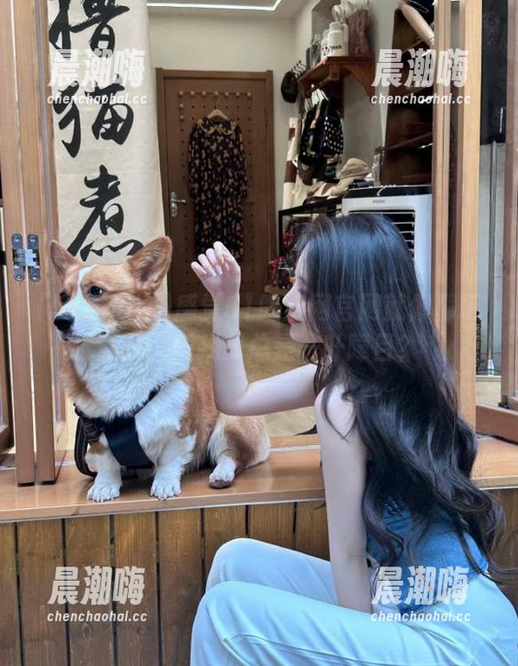 感觉51吃瓜网官网就像那玩意儿，想找却总是一叶障目？