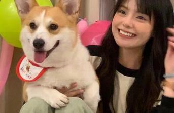黑料网全天候不打烊：链接的每一秒都能让你停下脚步
