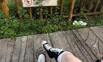 登录黑瓜吃料,随便吃瓜就能涨姿势,心情好到飞!